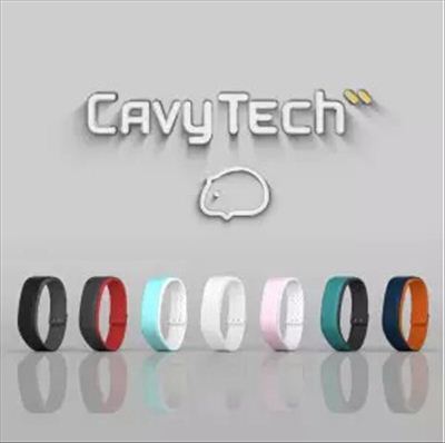 吳曉波： 我為什么要投資豚鼠(圖3)