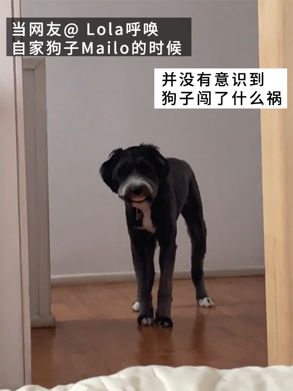 當狗子偷偷戴上主人的假牙:恐怖谷效應充滿屏幕!(圖2) 當狗子偷偷戴上主人的假牙:恐怖谷效應充滿屏幕!