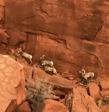 美國再次發(fā)現(xiàn)神秘巨型金屬柱!這玩意曾在世界各地隨機刷新(圖6) 美國再次發(fā)現(xiàn)神秘巨型金屬柱!這玩意曾在世界各地隨機刷新