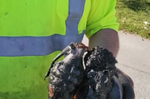 釣魚佬從湖里釣出70萬現金!以前還釣出過手榴彈(圖11) 釣魚佬從湖里釣出70萬現金!以前還釣出過手榴彈