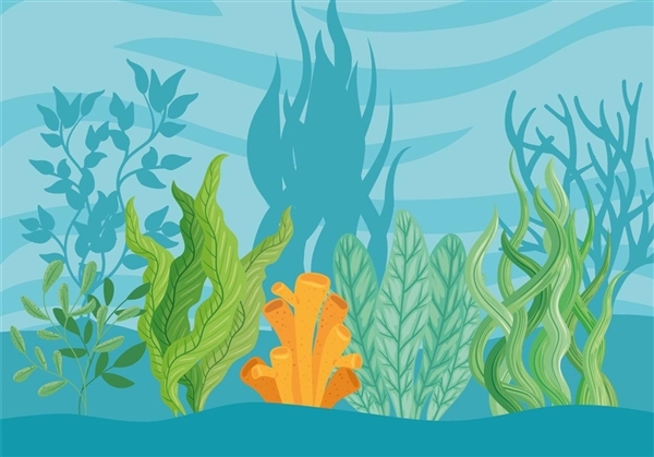 失聯(lián)潛艇搜救:水下傳來不明敲擊聲(圖1) 失聯(lián)潛艇搜救:水下傳來不明敲擊聲