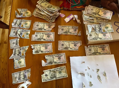 狗子吃掉2萬(wàn)現(xiàn)金后又拉了出來(lái) 主人只能屎里淘金(圖21) 狗子吃掉2萬(wàn)現(xiàn)金后又拉了出來(lái) 主人只能屎里淘金