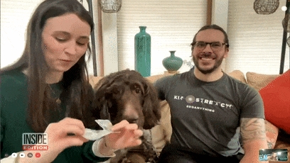 狗子吃掉2萬(wàn)現(xiàn)金后又拉了出來(lái) 主人只能屎里淘金(圖6) 狗子吃掉2萬(wàn)現(xiàn)金后又拉了出來(lái) 主人只能屎里淘金