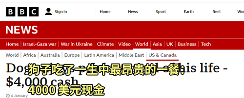 狗子吃掉2萬(wàn)現(xiàn)金后又拉了出來(lái) 主人只能屎里淘金(圖2) 狗子吃掉2萬(wàn)現(xiàn)金后又拉了出來(lái) 主人只能屎里淘金