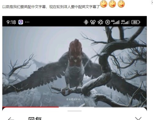 國外玩家：玩《黑神話》要用中文配音才正宗