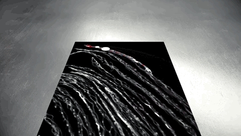 SpaceX天才實(shí)習(xí)生課余用AI破解上古卷軸:獲Nature頭版關(guān)注(圖9) SpaceX天才實(shí)習(xí)生課余用AI破解上古卷軸:獲Nature頭版關(guān)注