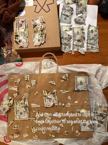 狗子吃掉2萬(wàn)現(xiàn)金后又拉了出來(lái) 主人只能屎里淘金(圖20) 狗子吃掉2萬(wàn)現(xiàn)金后又拉了出來(lái) 主人只能屎里淘金