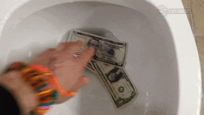 狗子吃掉2萬(wàn)現(xiàn)金后又拉了出來(lái) 主人只能屎里淘金(圖1) 狗子吃掉2萬(wàn)現(xiàn)金后又拉了出來(lái) 主人只能屎里淘金