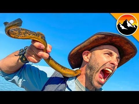 黑龍江男子撈“小雜魚”賣被抓:其中有12條很“刑”(圖4) 黑龍江男子撈“小雜魚”賣被抓:其中有12條很“刑”