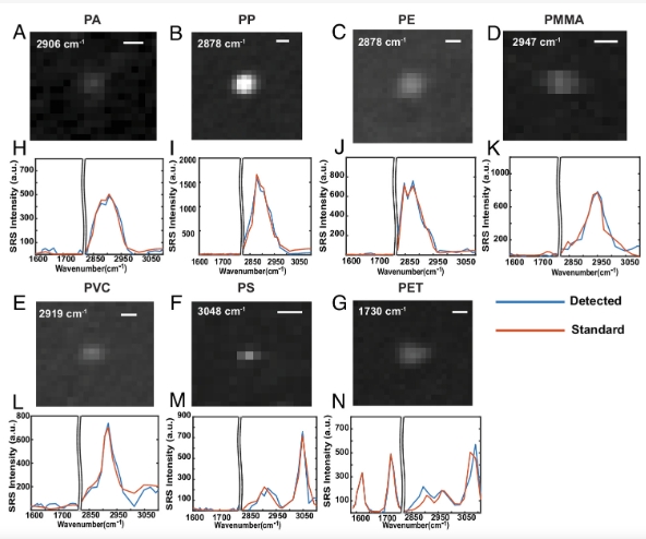 驚人發(fā)現(xiàn)!研究稱瓶裝水中塑料顆粒數(shù)量遠(yuǎn)超認(rèn)知:可進(jìn)入人體血液(圖3) 驚人發(fā)現(xiàn)!研究稱瓶裝水中塑料顆粒數(shù)量遠(yuǎn)超認(rèn)知:可進(jìn)入人體血液