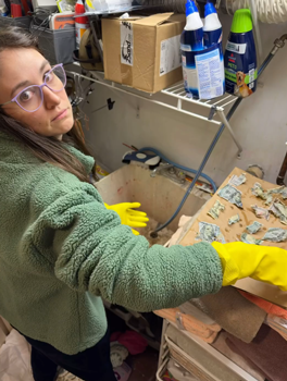 狗子吃掉2萬(wàn)現(xiàn)金后又拉了出來(lái) 主人只能屎里淘金(圖18) 狗子吃掉2萬(wàn)現(xiàn)金后又拉了出來(lái) 主人只能屎里淘金