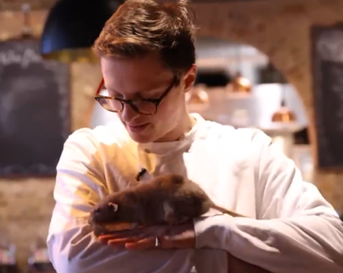 你敢吃嘗嘗嗎！網紅小哥訓練老鼠當廚師：還做菜給朋友吃