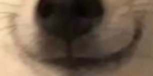 看什么都像人臉:我是不是生病了(圖15) 看什么都像人臉:我是不是生病了