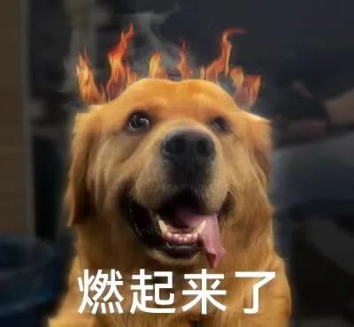 小時(shí)候偷錢(qián)買(mǎi)的火麒麟 CF怎么開(kāi)始免費(fèi)送了？