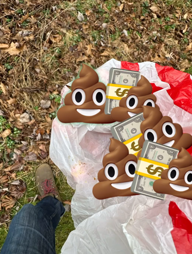 狗子吃掉2萬(wàn)現(xiàn)金后又拉了出來(lái) 主人只能屎里淘金(圖16) 狗子吃掉2萬(wàn)現(xiàn)金后又拉了出來(lái) 主人只能屎里淘金