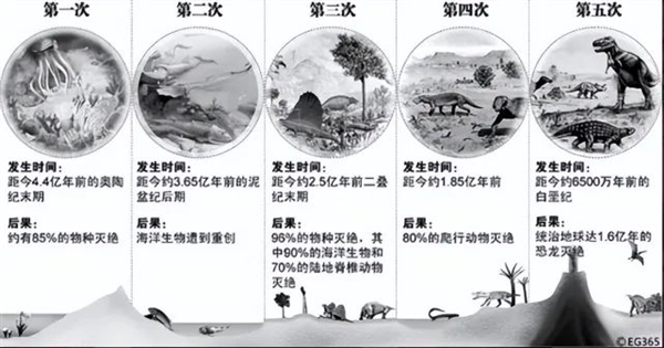 最讓人絕望的解釋:史上最嚴重的物種大滅絕只是因為一次基因轉移(圖1) 最讓人絕望的解釋:史上最嚴重的物種大滅絕只是因為一次基因轉移