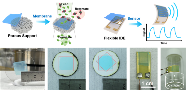 能從沙漠提水 浙大研發全新褶皺MOF薄膜 不再一掰就碎