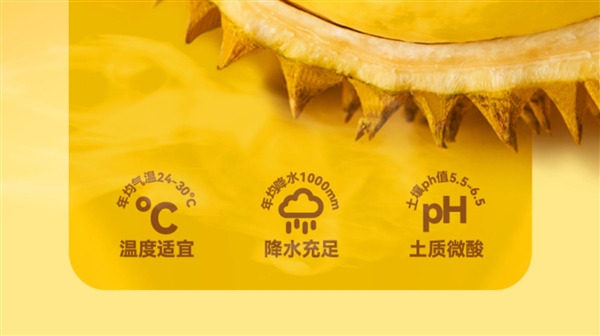 甄選泰國金枕榴蓮！榴芒一刻榴蓮冰皮月餅禮盒清倉：券后49.9元