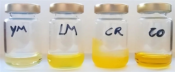 蟑螂油出油率堪比肥豬 營養還豐富:可惜不能吃(圖2) 蟑螂油出油率堪比肥豬 營養還豐富:可惜不能吃