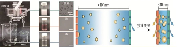 百年難題被攻克 一張神奇的膜成功實現水和油分離 (圖2) 百年難題被攻克 一張神奇的膜成功實現水和油分離