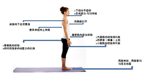 比散步還簡單的動作！每天只需10分鐘 就能改善體態、緩解肩頸痛