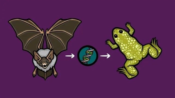 最讓人絕望的解釋:史上最嚴重的物種大滅絕只是因為一次基因轉移(圖8) 最讓人絕望的解釋:史上最嚴重的物種大滅絕只是因為一次基因轉移