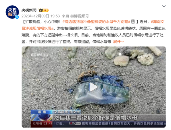 去海邊玩看到“塑料袋”趕緊跑、別猶豫!(圖1) 去海邊玩看到“塑料袋”趕緊跑、別猶豫!