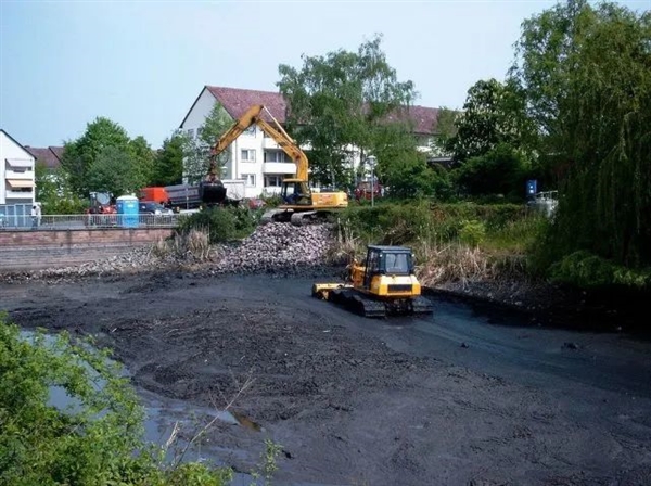 最讓人絕望的解釋:史上最嚴重的物種大滅絕只是因為一次基因轉移(圖6) 最讓人絕望的解釋:史上最嚴重的物種大滅絕只是因為一次基因轉移