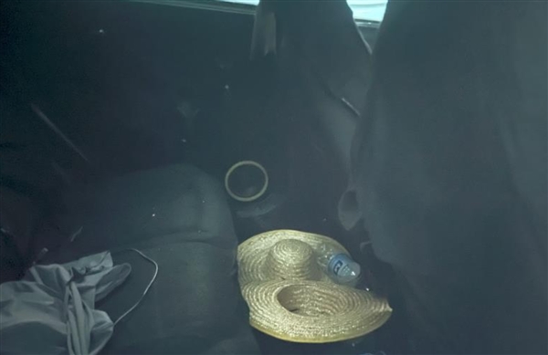 比亞迪全新 SUV:海獅07 EV 內(nèi)飾首次曝光(圖2) 比亞迪全新 SUV:海獅07 EV 內(nèi)飾首次曝光