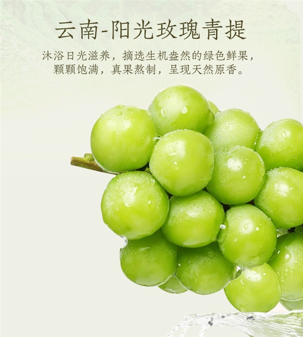 夏天就要喝涼茶!輕上胖大海茶嘗鮮發(fā)車:券后1.99元/瓶(圖4) 夏天就要喝涼茶!輕上胖大海茶嘗鮮發(fā)車:券后1.99元/瓶