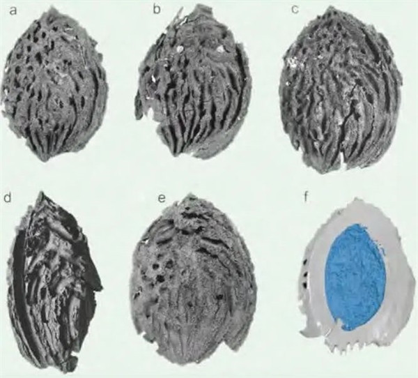 好看的花那么多 為啥古人偏偏用桃花形容女子?(圖1) 好看的花那么多 為啥古人偏偏用桃花形容女子?