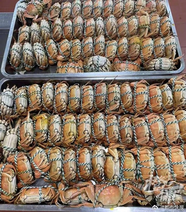 杭州一中學午餐上了1000只大閘蟹:希望孩子學習也能橫著走(圖1) 杭州一中學午餐上了1000只大閘蟹:希望孩子學習也能橫著走