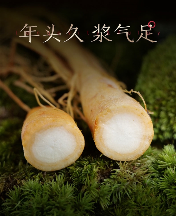 長白山人參鮮參大促！10支獨立包裝券后僅39.9：煲湯超營養