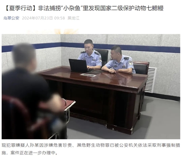 黑龍江男子撈“小雜魚”賣被抓:其中有12條很“刑”(圖1) 黑龍江男子撈“小雜魚”賣被抓:其中有12條很“刑”