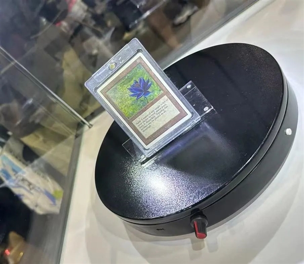 逛完BW 不敢再質疑二次元的消費能力