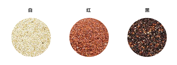 蛋白含量比雞蛋高 膳食纖維比燕麥優秀！這種食材被嚴重忽視了