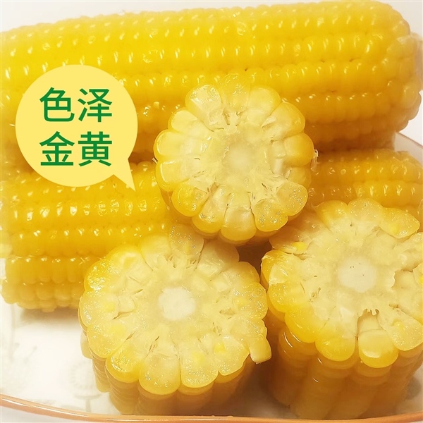 香糯Q彈敲好吃！吉林省農投集團黃糯玉米狂促：券后2元一根