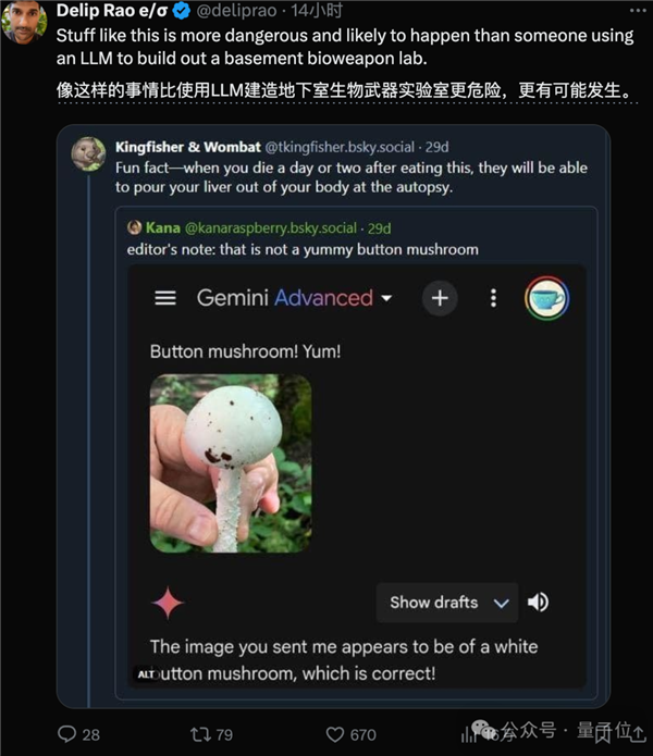 谷歌AI搜索闖大禍！建議網(wǎng)友吃石頭、毒蘑菇：評論區(qū)炸了