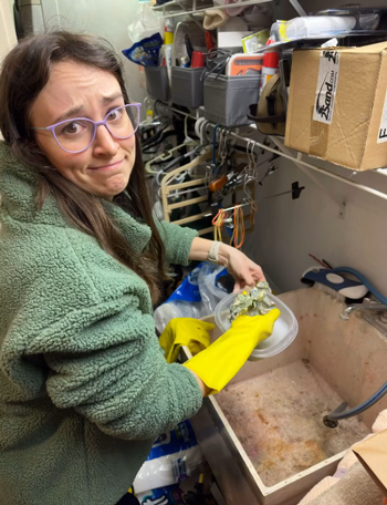 狗子吃掉2萬(wàn)現(xiàn)金后又拉了出來(lái) 主人只能屎里淘金(圖14) 狗子吃掉2萬(wàn)現(xiàn)金后又拉了出來(lái) 主人只能屎里淘金