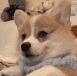 看什么都像人臉:我是不是生病了(圖22) 看什么都像人臉:我是不是生病了