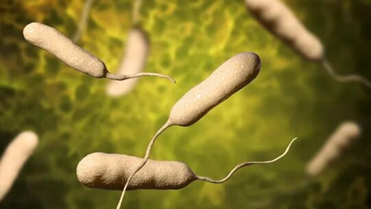 大爺洗魚不慎水灑傷口險截肢 醫生提醒:皮膚有破損勿接觸海產品(圖1) 大爺洗魚不慎水灑傷口險截肢 醫生提醒:皮膚有破損勿接觸海產品