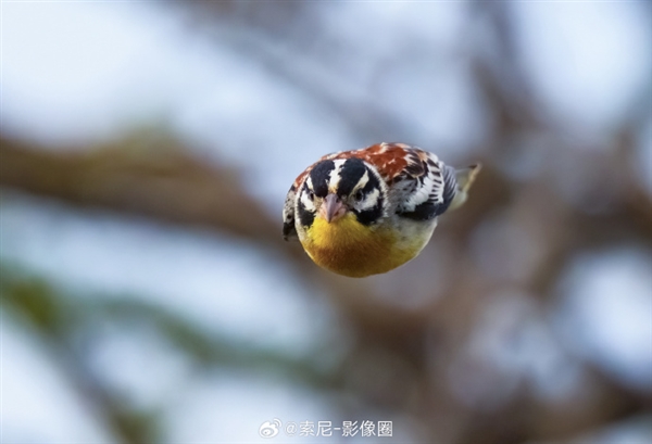 新一代全畫幅旗艦微單！索尼A1M2正式發布：47999元