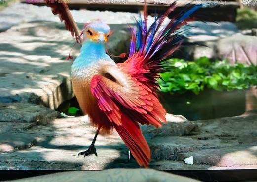 電視劇《與鳳行》咯咯噠表情包被玩壞!趙麗穎、林更新主演(圖2) 電視劇《與鳳行》咯咯噠表情包被玩壞:趙麗穎、林更新主演