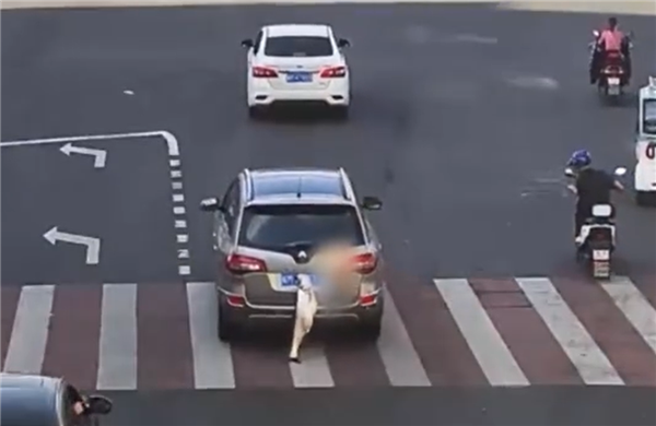 釣魚佬釣到大魚掛后備箱遮擋號牌被舉報:200塊、9分沒了(圖1) 釣魚佬釣到大魚掛后備箱遮擋號牌被舉報:200塊、9分沒了