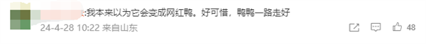 鋼珠求救鴨去世了引熱議 網(wǎng)友:求生欲很強 遺憾(圖3) 鋼珠求救鴨去世了引熱議 網(wǎng)友:求生欲很強 遺憾