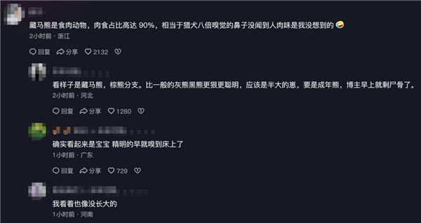 男子凌晨睜眼床邊站了一頭熊 逃跑不忘拿手機 網友:情緒穩定(圖8) 男子凌晨睜眼床邊站了一頭熊 逃跑不忘拿手機 網友:情緒穩定