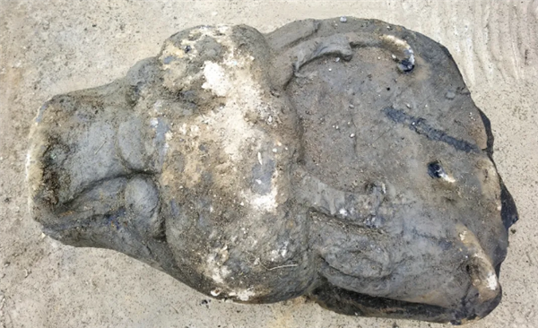 安徽一工地挖出500斤石獸首:已原址保護(圖2) 安徽一工地挖出500斤石獸首:已原址保護