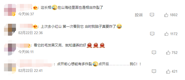 網友驚呆 白面僧面猴長相太炸裂 號稱最不怕毒動物(圖2) 最不怕毒動物!動物園回應白面僧面猴長相太炸:長得很乖巧