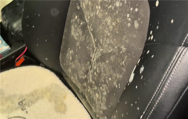 遇梅雨停地庫半月沒開保時捷發霉 車主自嘲：不想要了