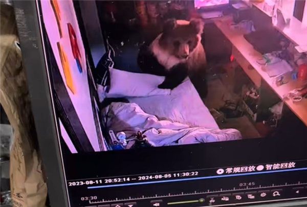 男子凌晨睜眼床邊站了一頭熊 逃跑不忘拿手機 網友:情緒穩定(圖5) 男子凌晨睜眼床邊站了一頭熊 逃跑不忘拿手機 網友:情緒穩定